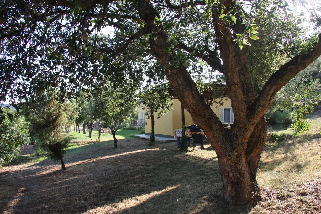 Agriturismo S'Arxola Willa Teulada Zewnętrze zdjęcie